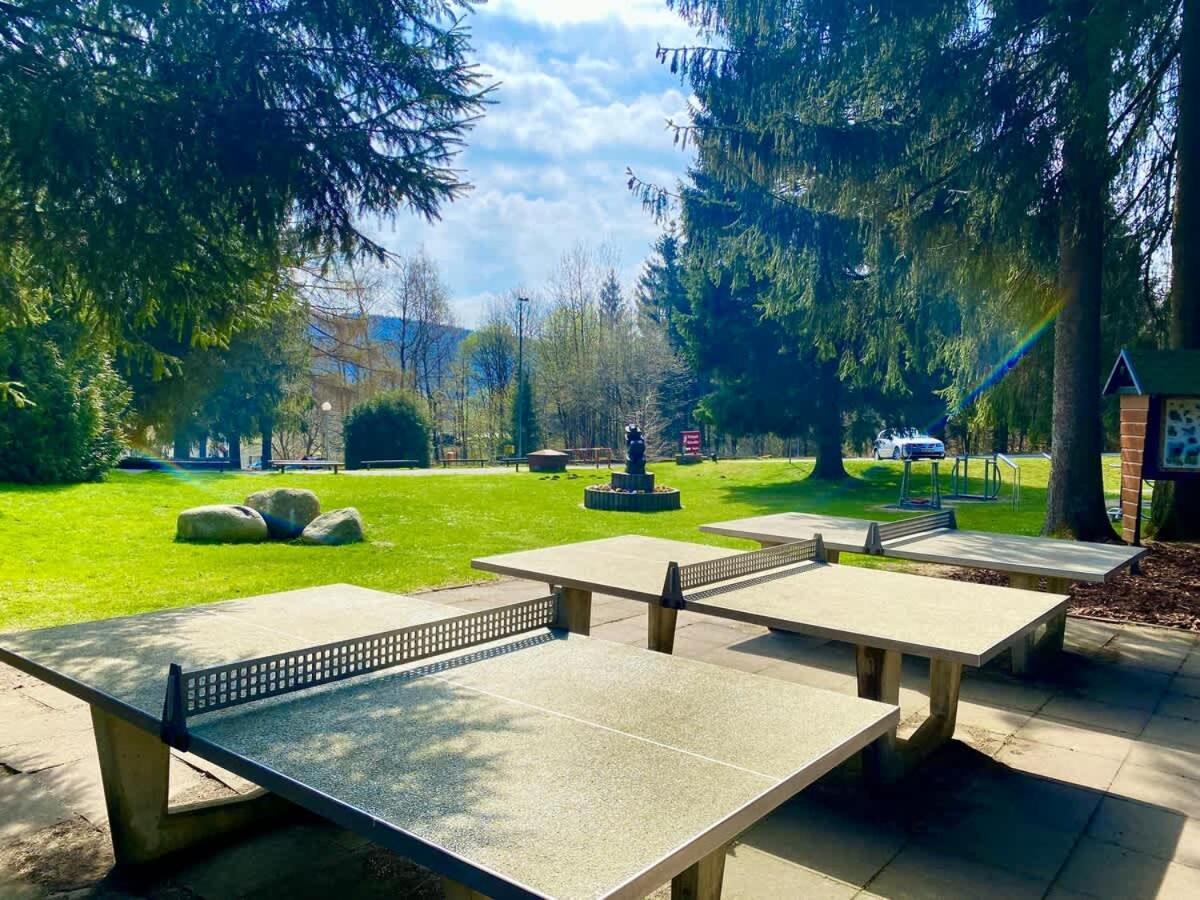 Relaxapartments Abendsonne Im Herzen Des Harzes - Ein El Dorado Fuer Wanderer, Biker Und Ruhesuchende - Mit Sonnigem Balkon Und Platz Fuer Bis Zu 3 Personen Goslar Eksteriør billede