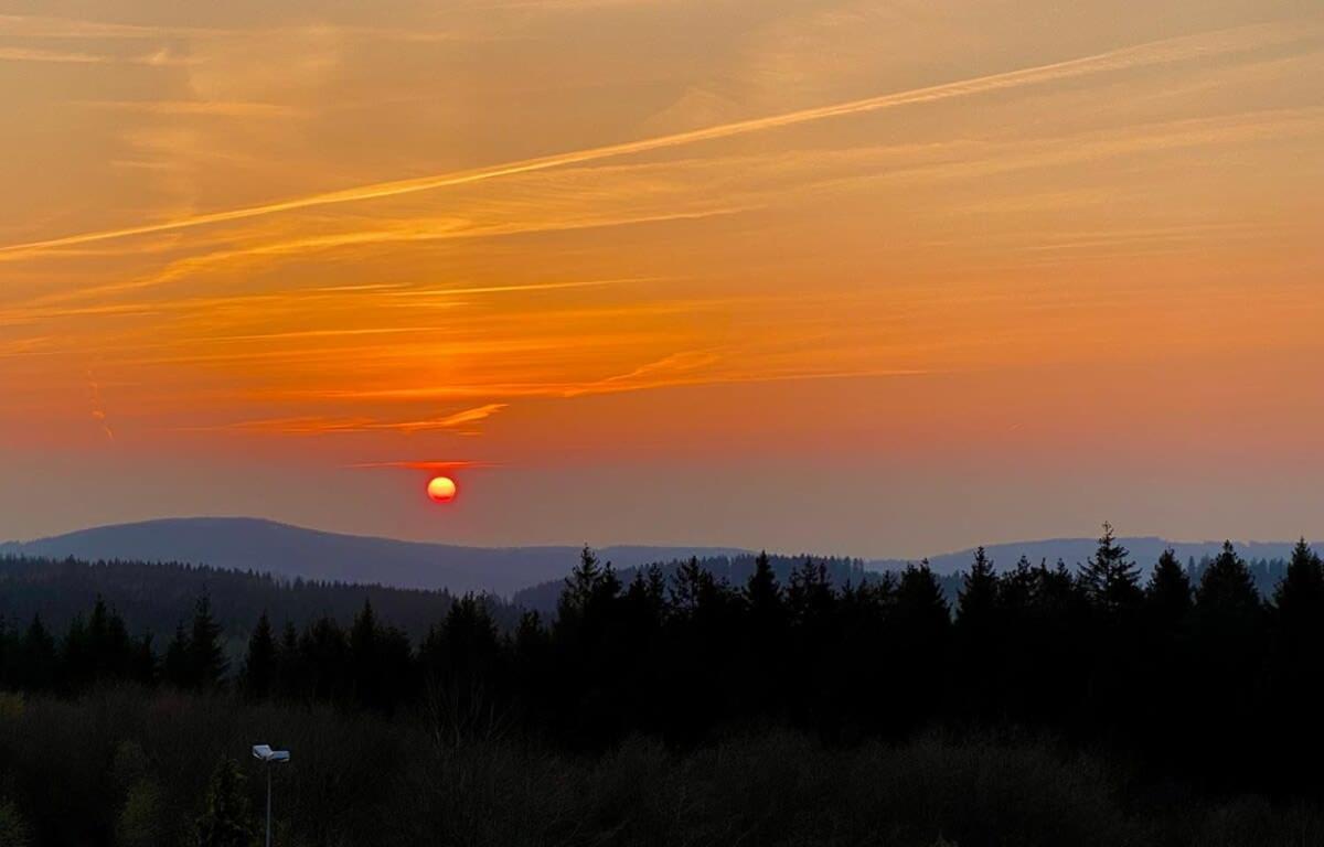 Relaxapartments Abendsonne Im Herzen Des Harzes - Ein El Dorado Fuer Wanderer, Biker Und Ruhesuchende - Mit Sonnigem Balkon Und Platz Fuer Bis Zu 3 Personen Goslar Eksteriør billede