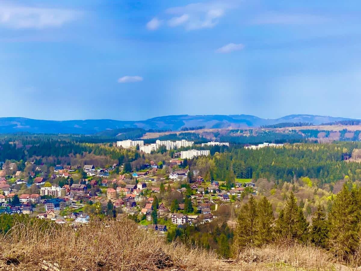 Relaxapartments Abendsonne Im Herzen Des Harzes - Ein El Dorado Fuer Wanderer, Biker Und Ruhesuchende - Mit Sonnigem Balkon Und Platz Fuer Bis Zu 3 Personen Goslar Eksteriør billede